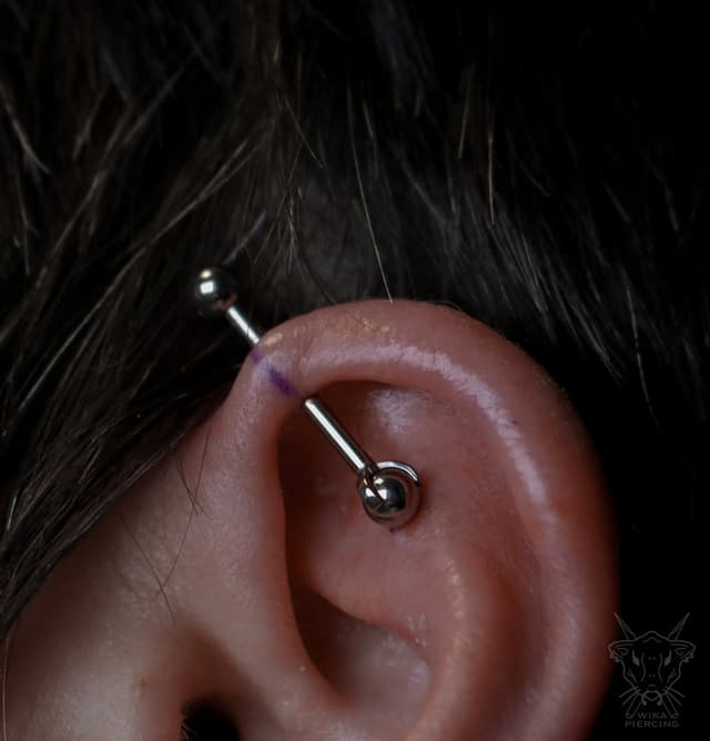 Blue Rose Tattoo · Piercing 2