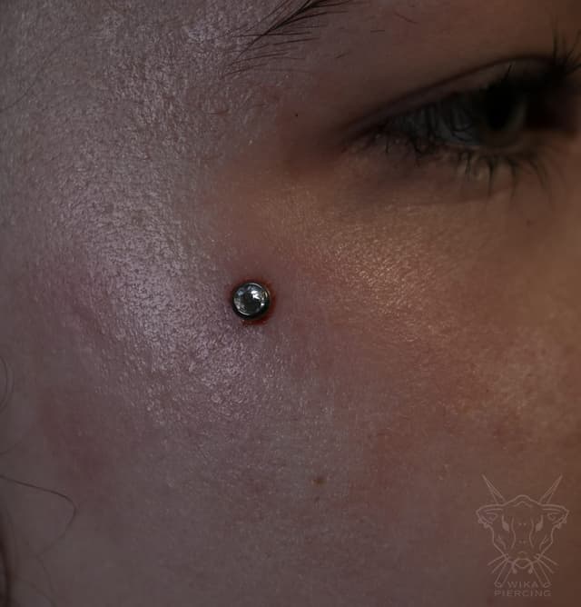 Blue Rose Tattoo · Piercing 4