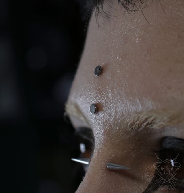 Blue Rose Tattoo · Piercing 7