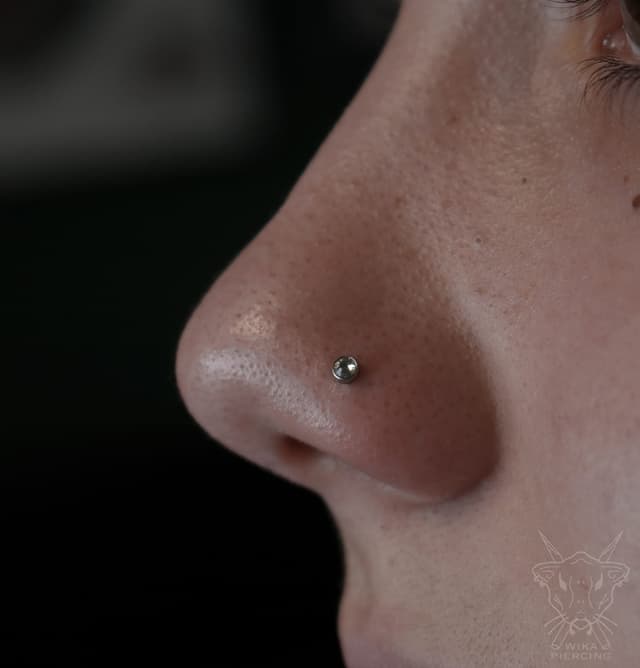 Blue Rose Tattoo · Piercing 8