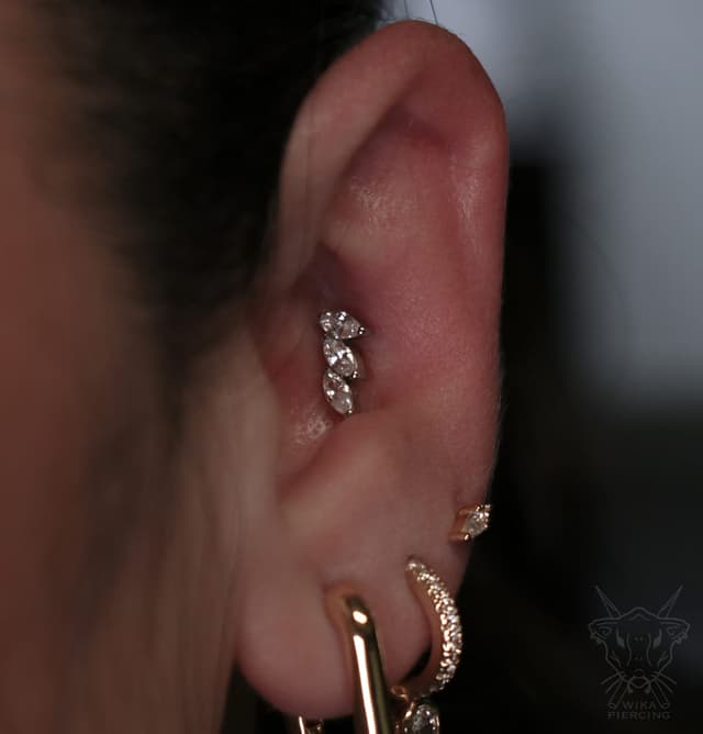 Blue Rose Tattoo · Piercing 10