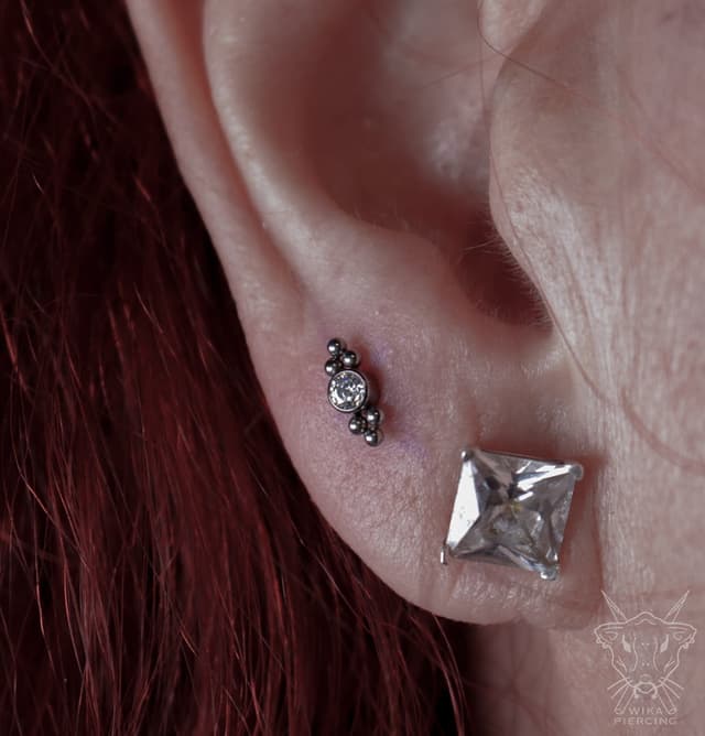 Blue Rose Tattoo · Piercing 12