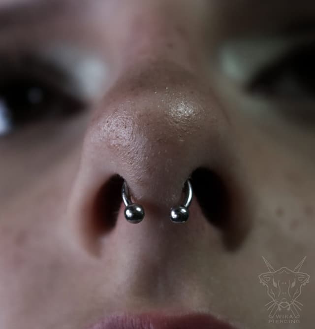 Blue Rose Tattoo · Piercing 13