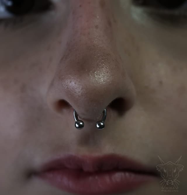 Blue Rose Tattoo · Piercing 14