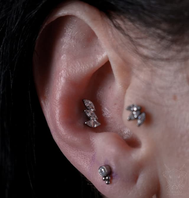 Blue Rose Tattoo · Piercing 17