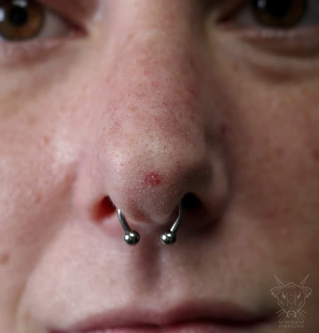 Blue Rose Tattoo · Piercing 18