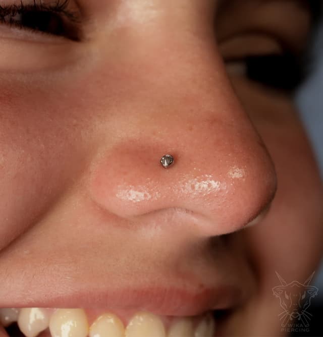 Blue Rose Tattoo · Piercing 20
