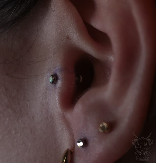 Blue Rose Tattoo · Piercing 21