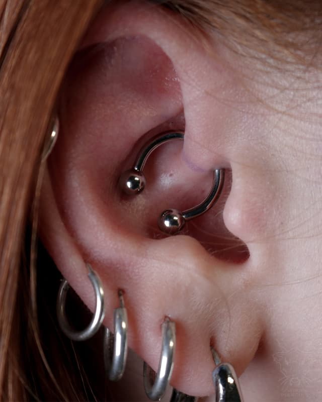 Blue Rose Tattoo · Piercing 24