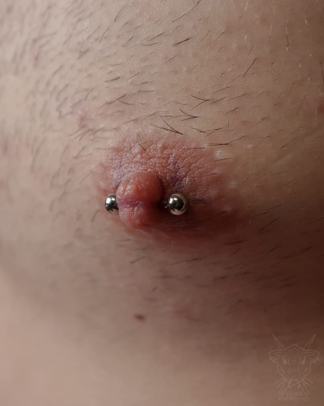 Blue Rose Tattoo · Piercing 25