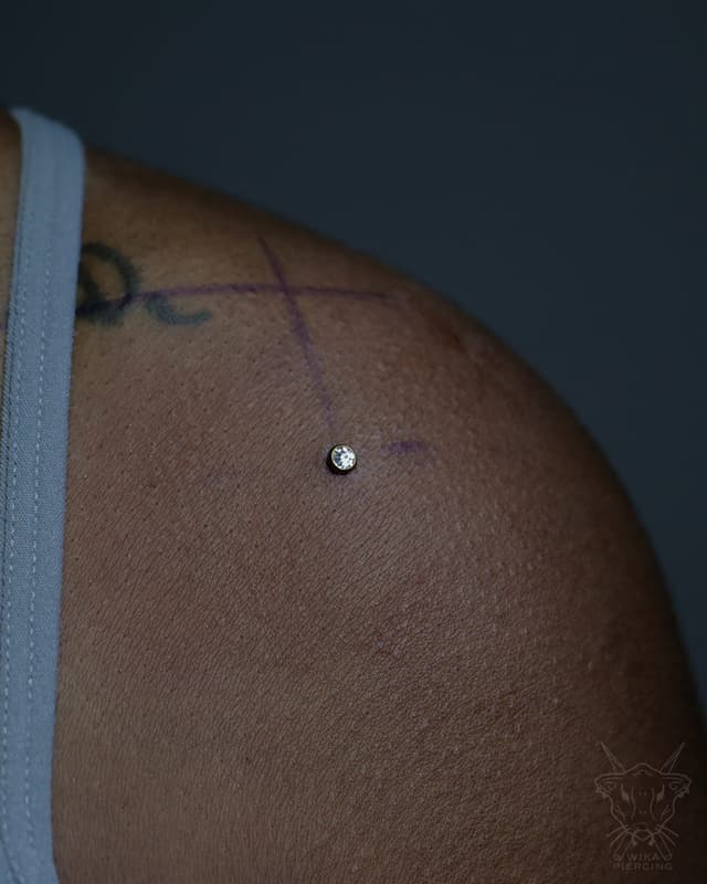 Blue Rose Tattoo · Piercing 26