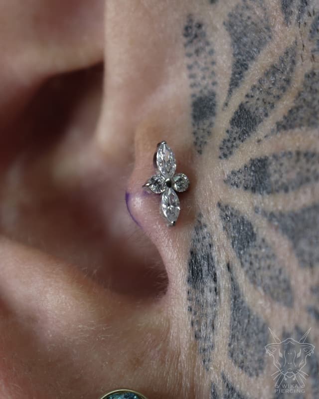 Blue Rose Tattoo · Piercing 27