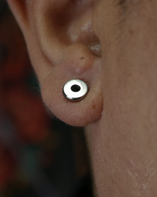 Blue Rose Tattoo · Piercing 30