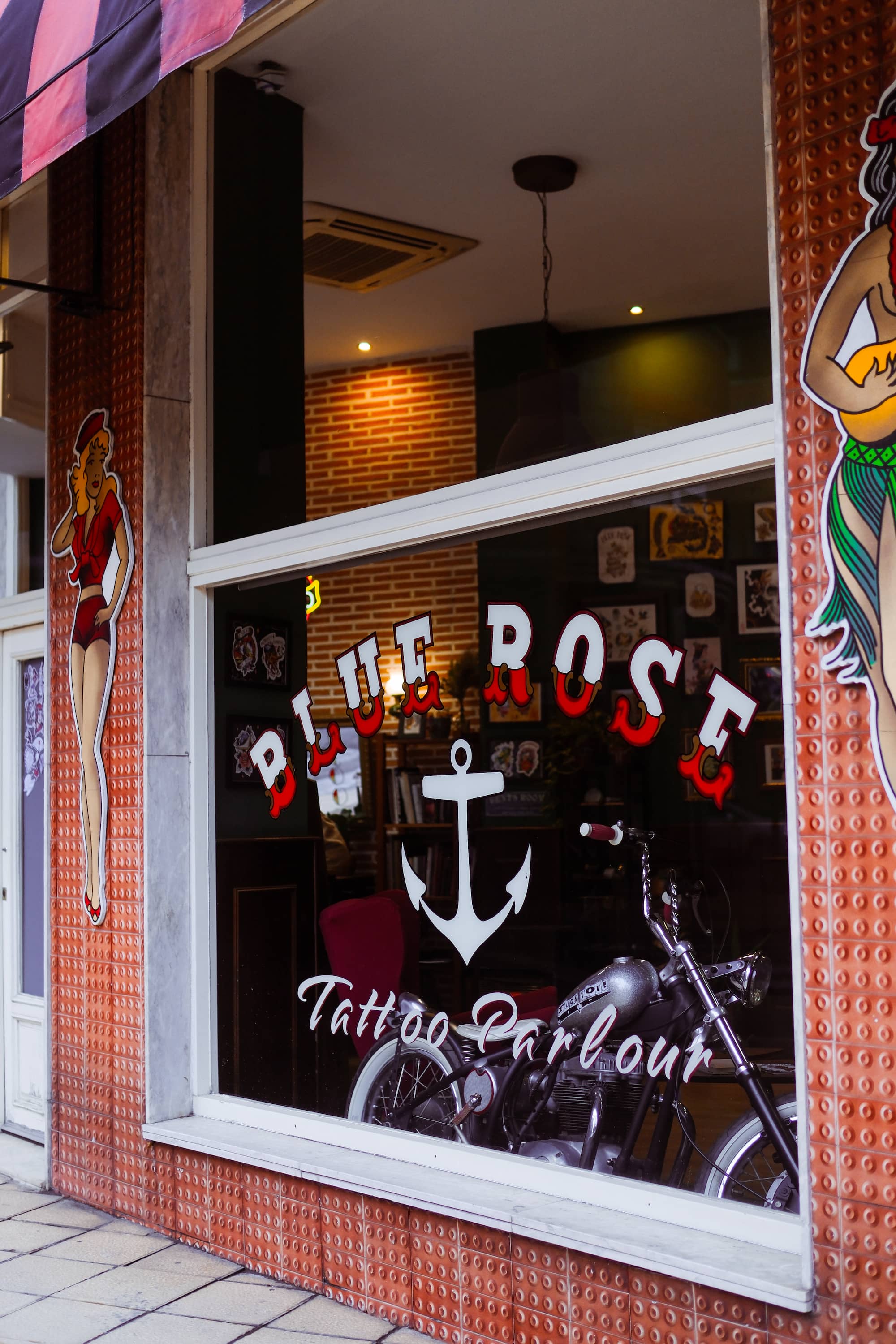 Blue Rose Tattoo · Estudio